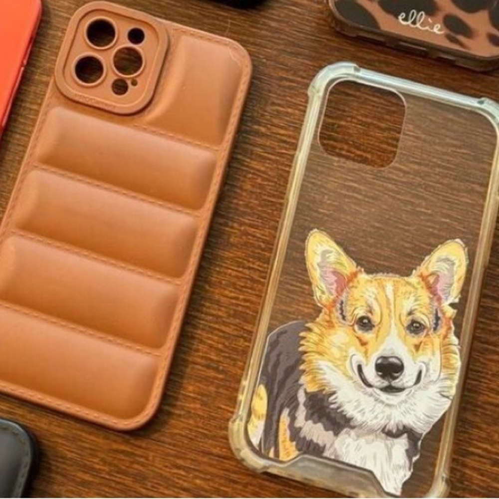 2 Used IPhone 12 Pro Phone Cases